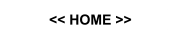 << HOME >>